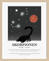 Kids by Friis - Plakat med stjernetegn, Skorpionen