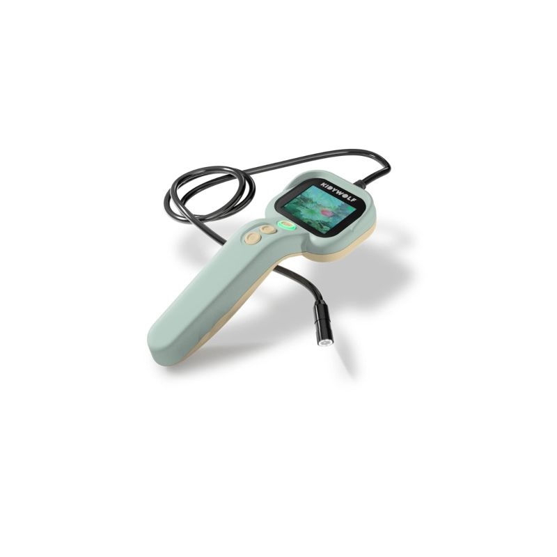 Kidywolf - Kidyexplore, Grøn